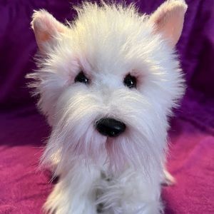 West highland terrier Signature Webkinz